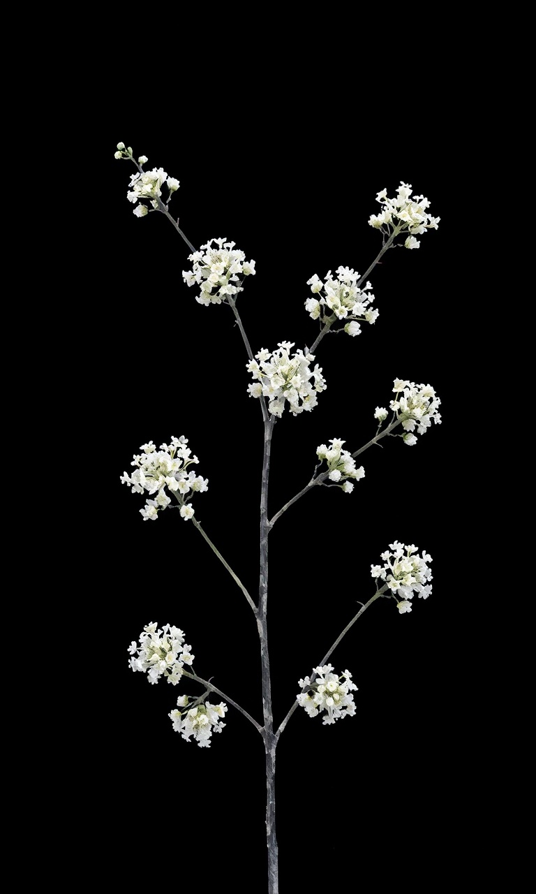 Hemlock Sprig · Velvet — Noir Botanica tough phone case